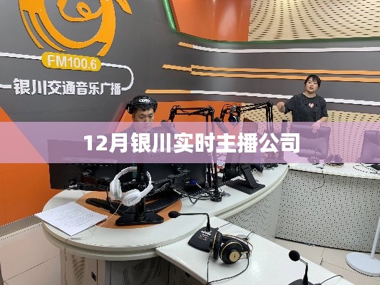 项目介绍 第310页