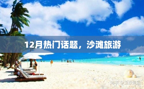 项目介绍 第306页