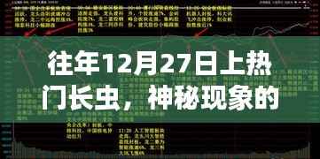 揭秘往年12月27日长虫现象背后的神秘面纱