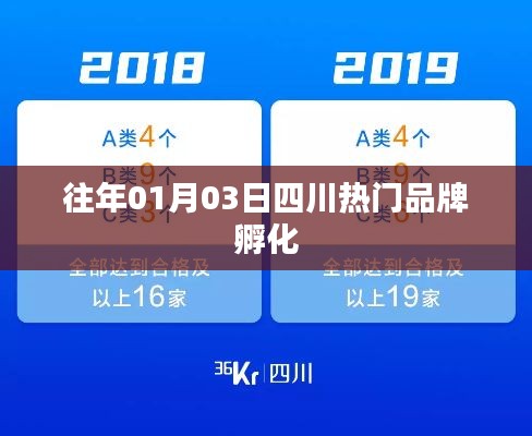 四川品牌孵化盛况,历年1月3日热点聚焦
