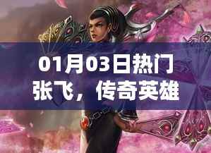 项目介绍 第293页