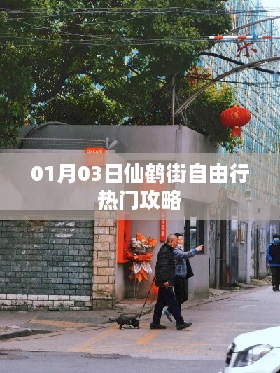 仙鹤街自由行指南，热门攻略一网打尽