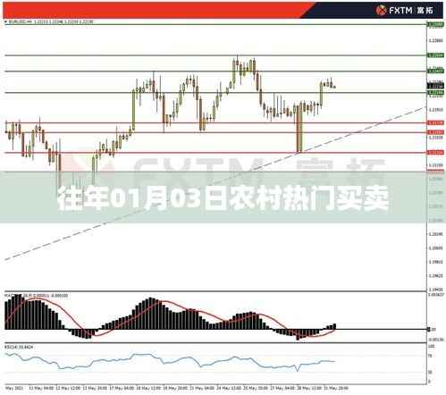 农村交易热点,历年一月初三大宗交易概览