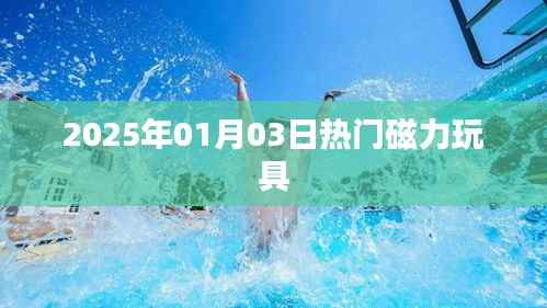 项目介绍 第286页