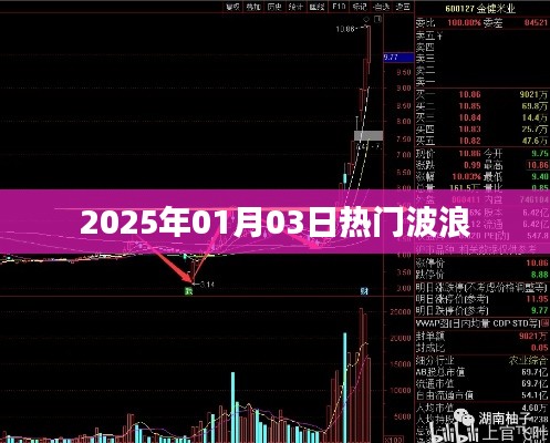 波浪热潮来袭！2025年1月3日热门动态