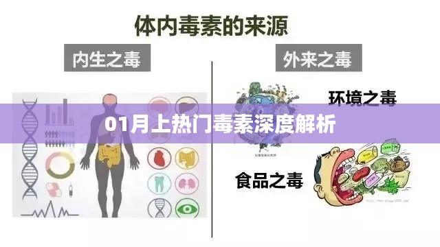 热门毒素深度解析,了解一月危害健康之隐患