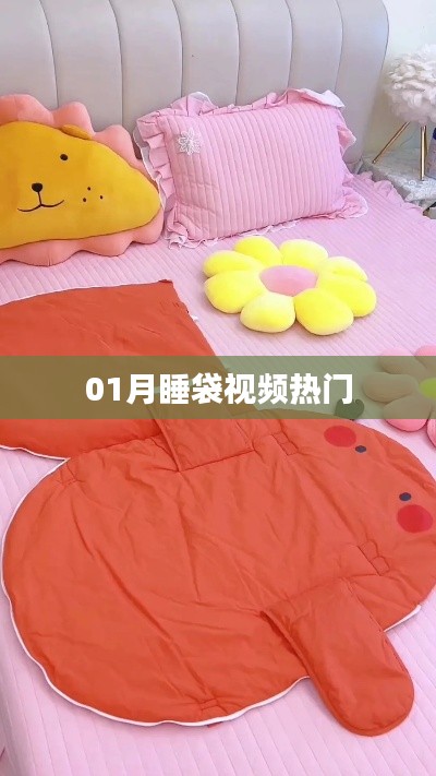 热门睡袋视频，教你如何正确使用！