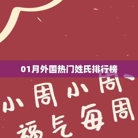 项目介绍 第278页