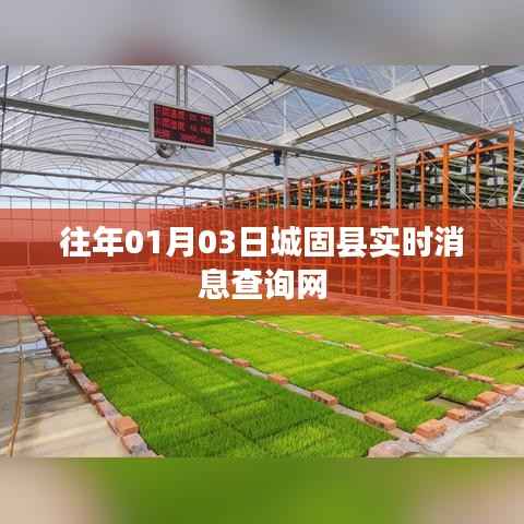 城固县实时消息查询网,最新资讯一网打尽