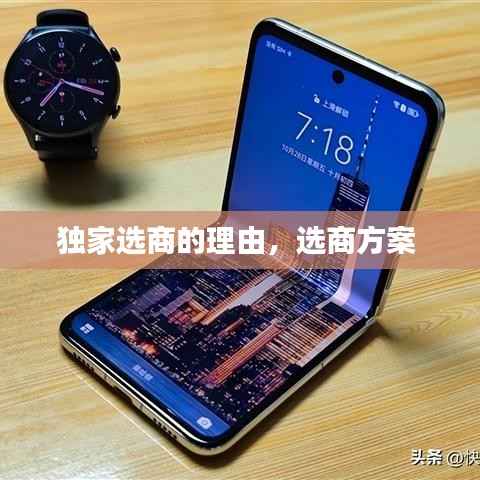 独家选商的理由,选商方案