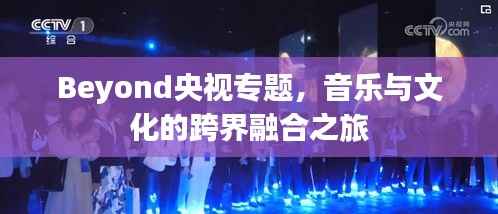 Beyond央视专题，音乐与文化的跨界融合之旅