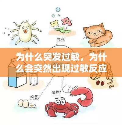 为什么突发过敏,为什么会突然出现过敏反应