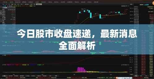 今日股市收盘速递,最新消息全面解析