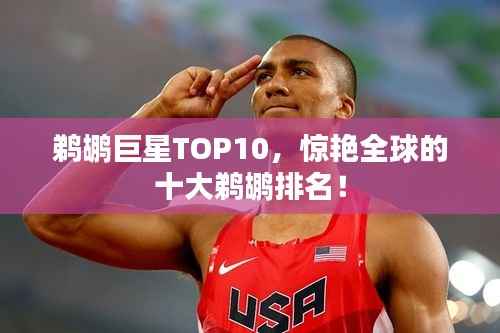 鹈鹕巨星TOP10,惊艳全球的十大鹈鹕排名!