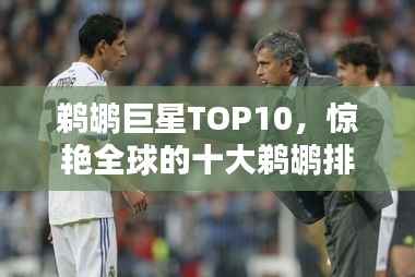 鹈鹕巨星TOP10,惊艳全球的十大鹈鹕排名!