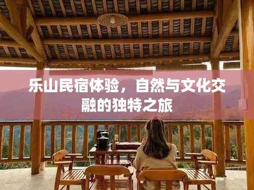 乐山民宿体验，自然与文化交融的独特之旅