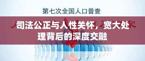 司法公正与人性关怀,宽大处理背后的深度交融