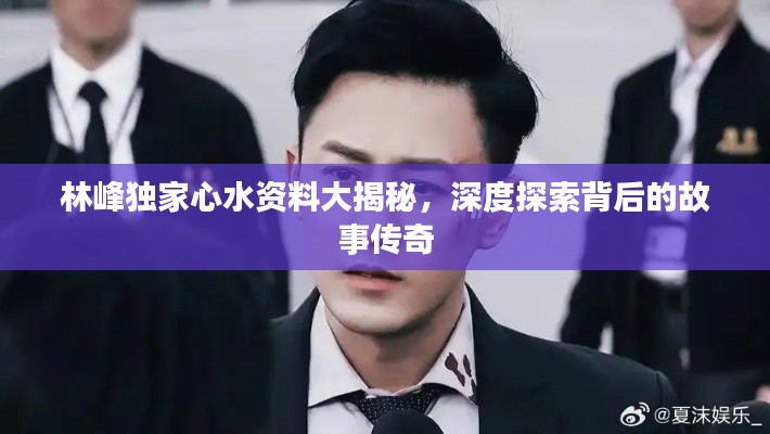 林峰独家心水资料大揭秘，深度探索背后的故事传奇