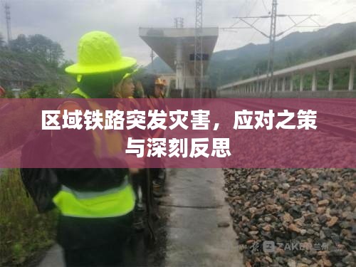 区域铁路突发灾害，应对之策与深刻反思