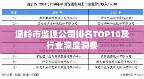 温岭市监理公司排名TOP10及行业深度洞察