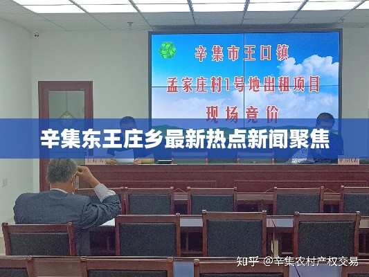 辛集东王庄乡最新热点新闻聚焦