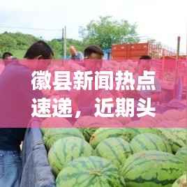 徽县新闻热点速递，近期头条新闻概览