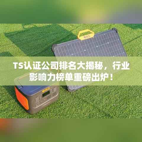 TS认证公司排名大揭秘,行业影响力榜单重磅出炉!