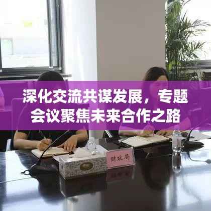 深化交流共谋发展,专题会议聚焦未来合作之路