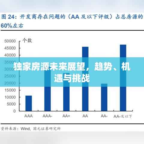 独家房源未来展望,趋势、机遇与挑战
