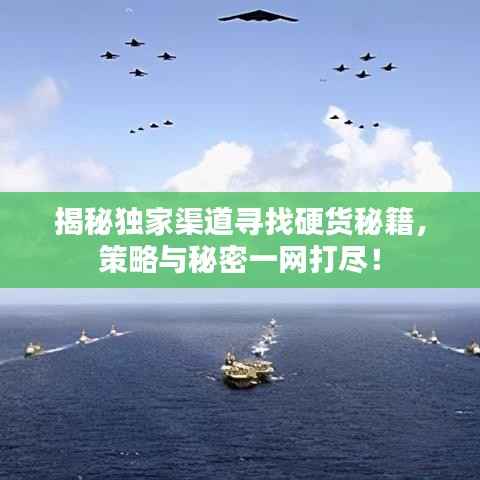 揭秘独家渠道寻找硬货秘籍,策略与秘密一网打尽!