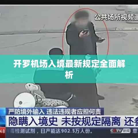 开罗机场入境最新规定全面解析