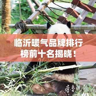 临沂暖气品牌排行榜前十名揭晓！