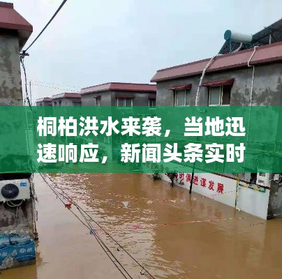 桐柏洪水来袭,当地迅速响应,新闻头条实时更新
