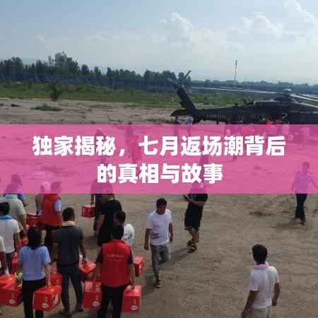 独家揭秘，七月返场潮背后的真相与故事