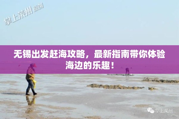 无锡出发赶海攻略,最新指南带你体验海边的乐趣!