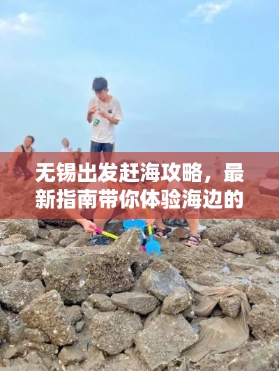 无锡出发赶海攻略,最新指南带你体验海边的乐趣!