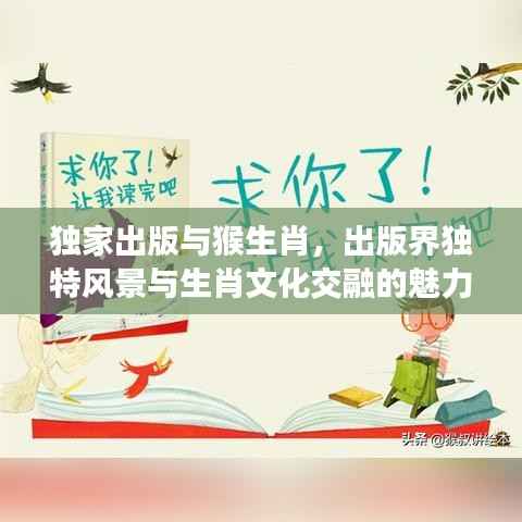 项目介绍 第216页