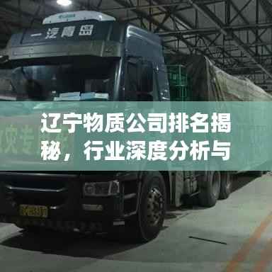 辽宁物质公司排名揭秘,行业深度分析与前景展望