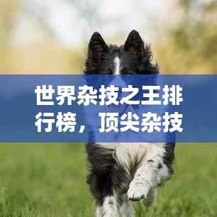 世界杂技之王排行榜,顶尖杂技团体大比拼!