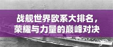 项目介绍 第212页