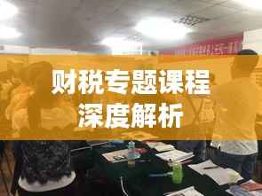 财税专题课程深度解析