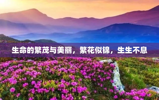 生命的繁茂与美丽,繁花似锦,生生不息