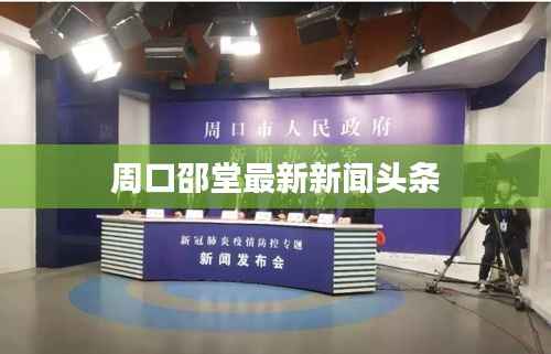 项目介绍 第203页