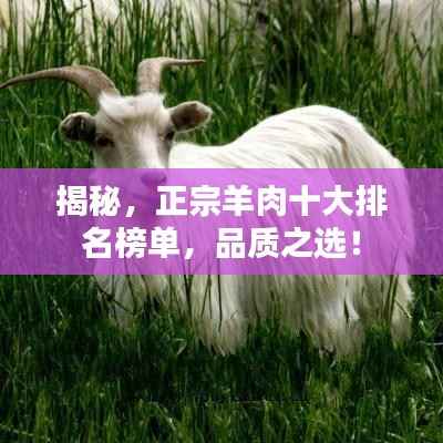 揭秘,正宗羊肉十大排名榜单,品质之选!