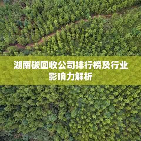羽扇纶巾 第3页