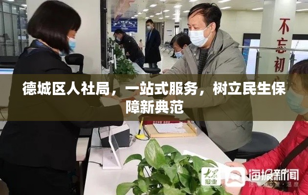 德城区人社局,一站式服务,树立民生保障新典范