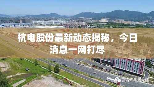 杭电股份最新动态揭秘,今日消息一网打尽