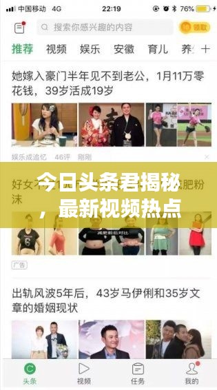 项目介绍 第194页