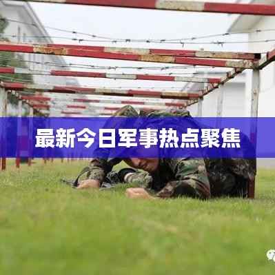 夭桃秾李 第3页