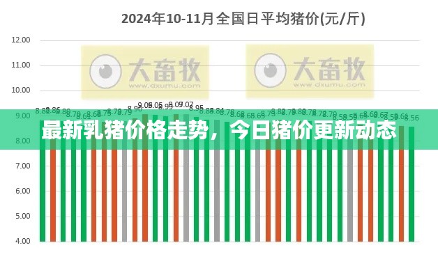 最新乳猪价格走势,今日猪价更新动态